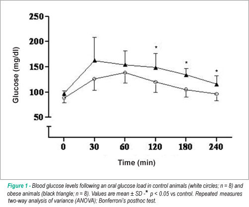 Myocardial dysfunction and abnormalities in intracellular calcium handling in obese rats