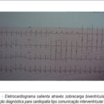 Imagem 1 da galeria
