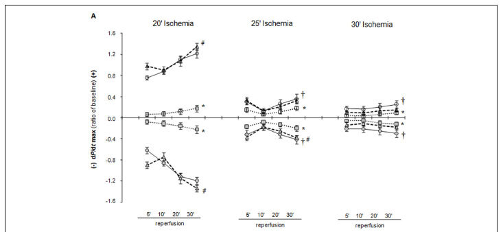 Effects of angiotensin-I and ischemia on functional recovery in isolated hearts