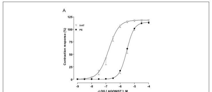 Interaction between serotoninergic-and β-adrenergic receptors signaling pathways in rat femoral artery