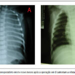 Imagem 2 da galeria