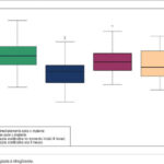 Imagem 3 da galeria