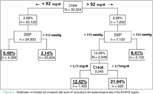Summary of the II Brazilian Guideline Update on Acute Heart Failure 2009/2011