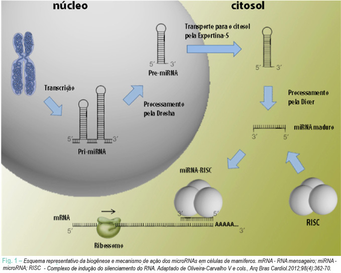 Imagem 1 da galeria