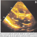 Imagem 2 da galeria