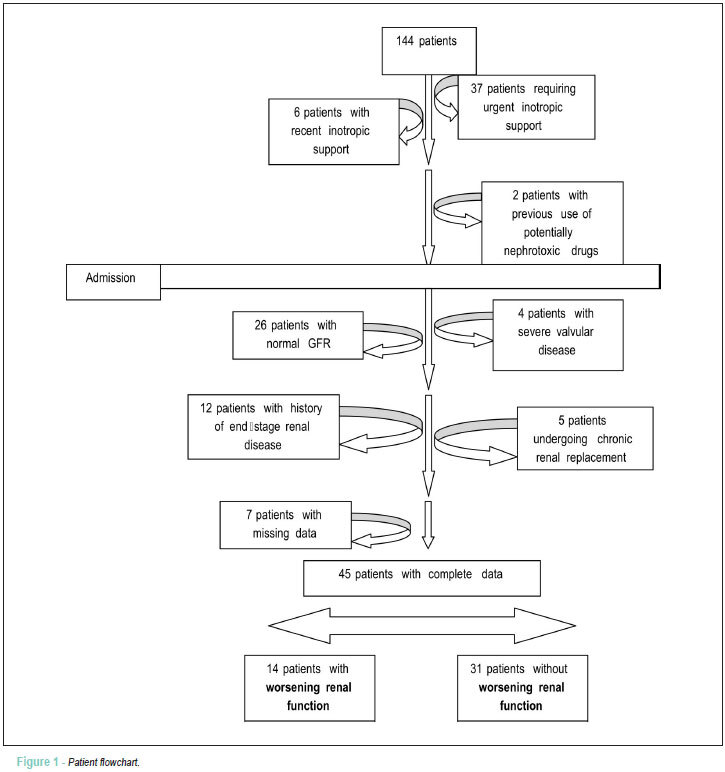 Effect of levosimendan in patients with severe systolic heart failure and worsening renal function