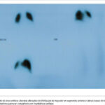 Imagem 3 da galeria
