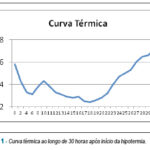 Imagem 1 da galeria