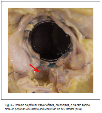 Imagem 3 da galeria