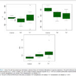 Imagem 3 da galeria
