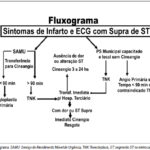 Imagem 1 da galeria