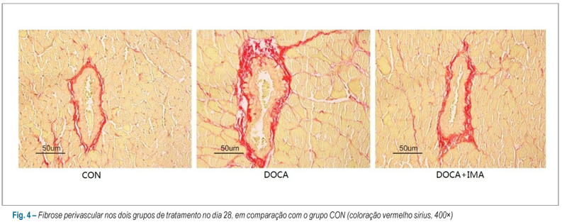 Imagem 4 da galeria