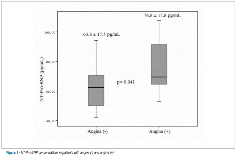 NT-Pro-BNP levels and their response to exercise in patients with slow coronary flow