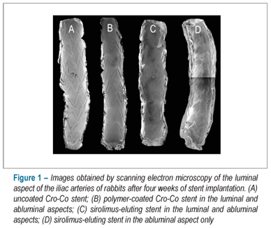 Assessment of stent strut endothelialization in iliac arteries of rabbits