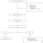 Figura 3