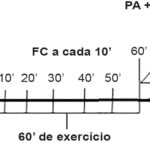 Figura 1