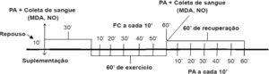 Figura 1
