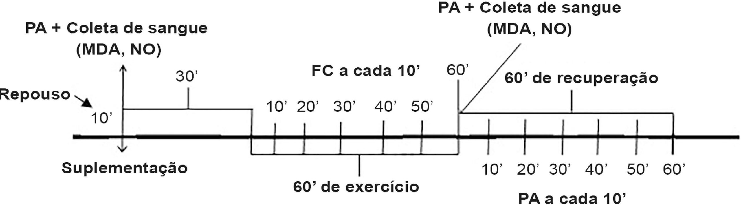 Figura 1