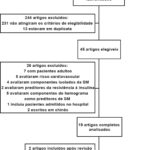 Figura 1