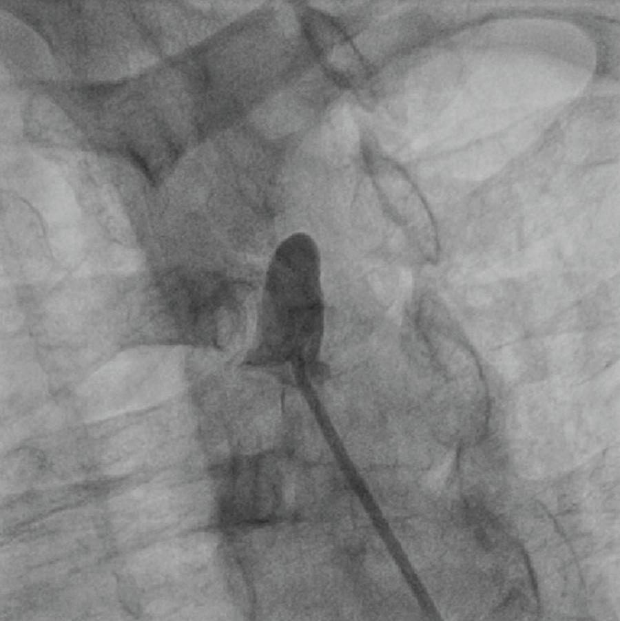 Figura 6