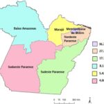 Figura 1