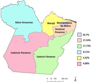 Figura 1