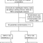Figura 1