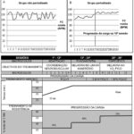 Figura 2