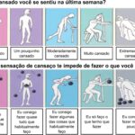 Figura 2