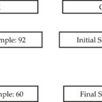 Flow Diagram 1