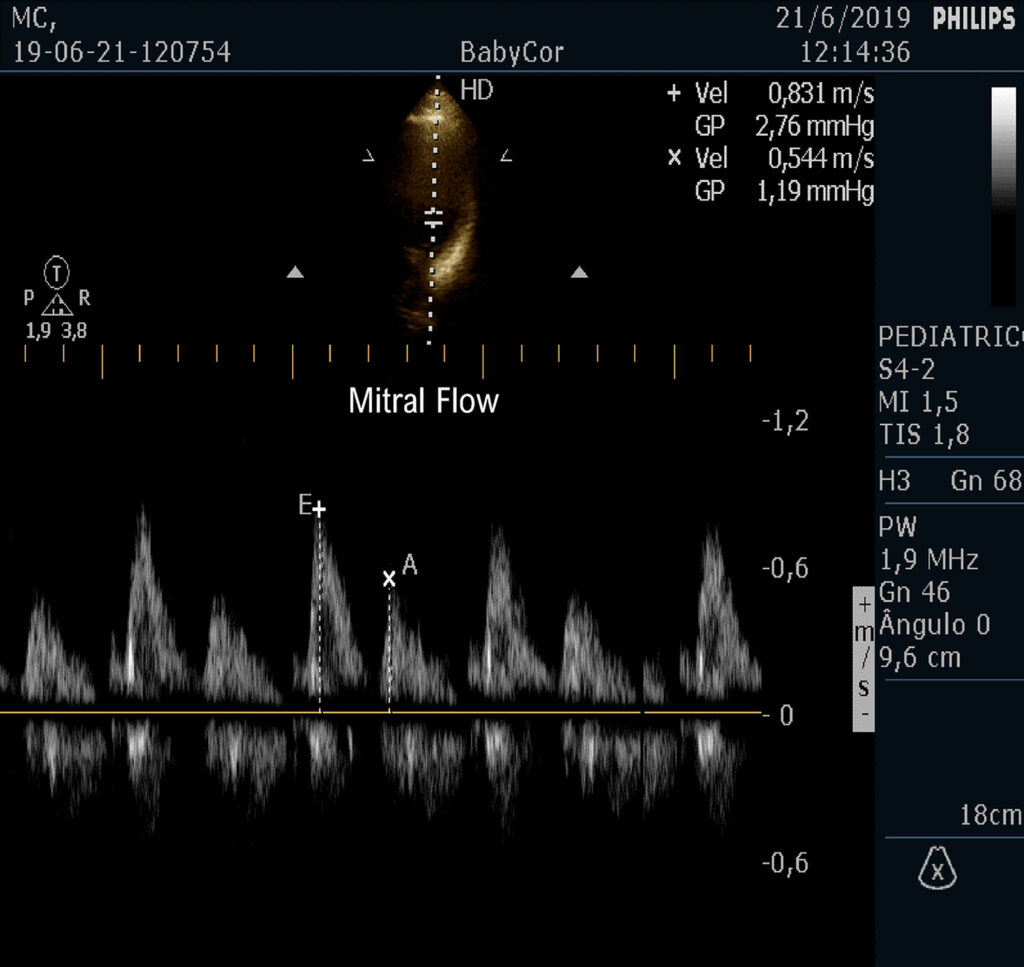 Figure 6