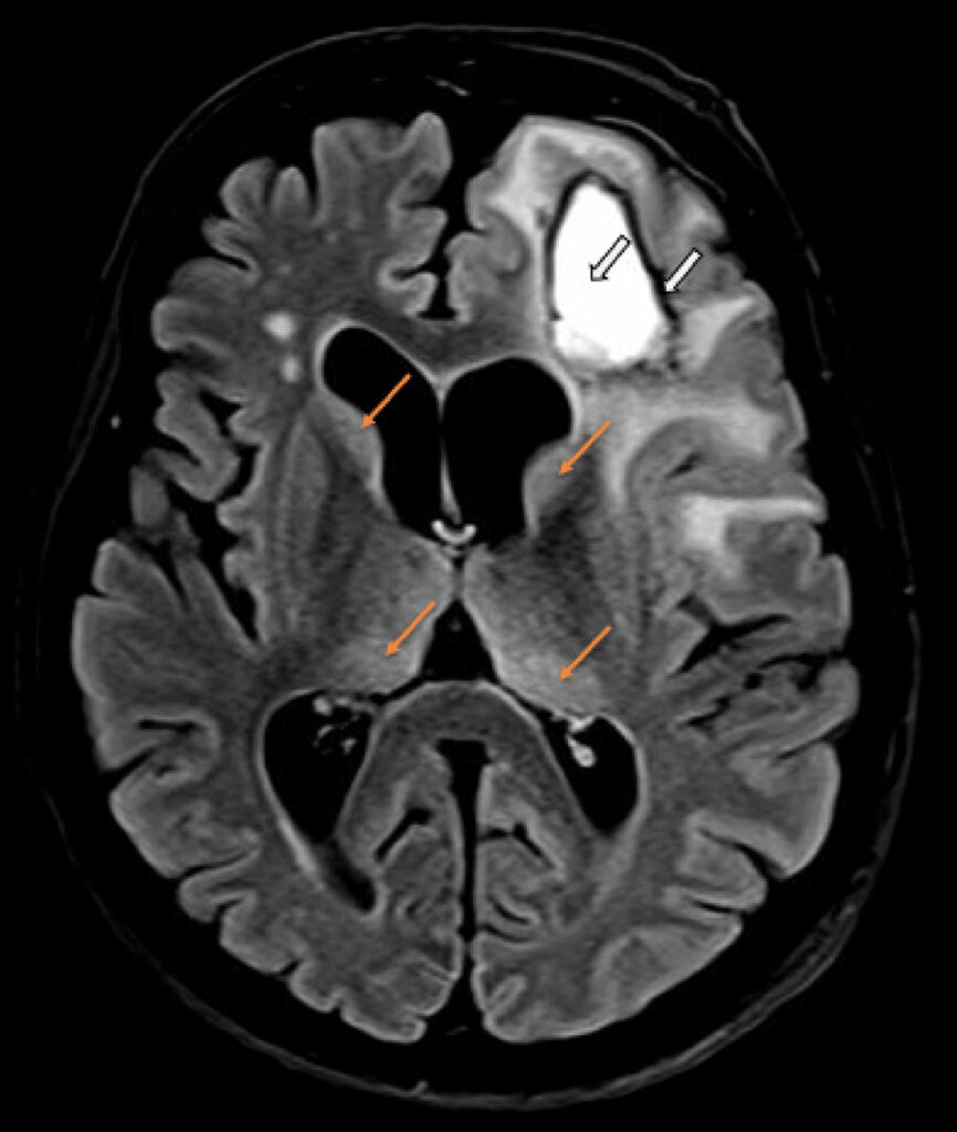 Figure 7