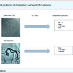 LMCA: left main coronary artery; CAD: coronary artery disease; RF: risk factor; PAD: peripheral artery disease. Source: The autor, 2019.