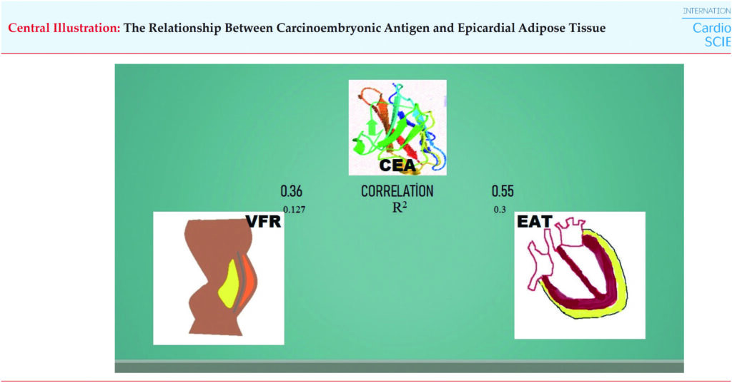 Correlation of CEA with EAT and VFR. CEA: carcinoembryonic antigen; VFR: visceral fat rating; EAT: epicardial adipose tissue.