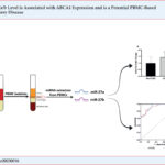 CAD: coronary artery disease; PBMC: peripheral blood mononuclear cell.