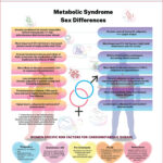 Some sex differences in MetS. CV: cardiovascular; LDL: low-density-lipoprotein cholesterol; LP: lipoprotein; LVH: left ventricular hypertrophy; MetS: metabolic syndrome; NO: nitric oxide; PCOS: polycystic ovary syndrome; RAS: renin-angiotensinogen system; SNS: sympathetic nervous system; T2DM: type 2 diabetes mellitus; VAT: visceral adiposity.