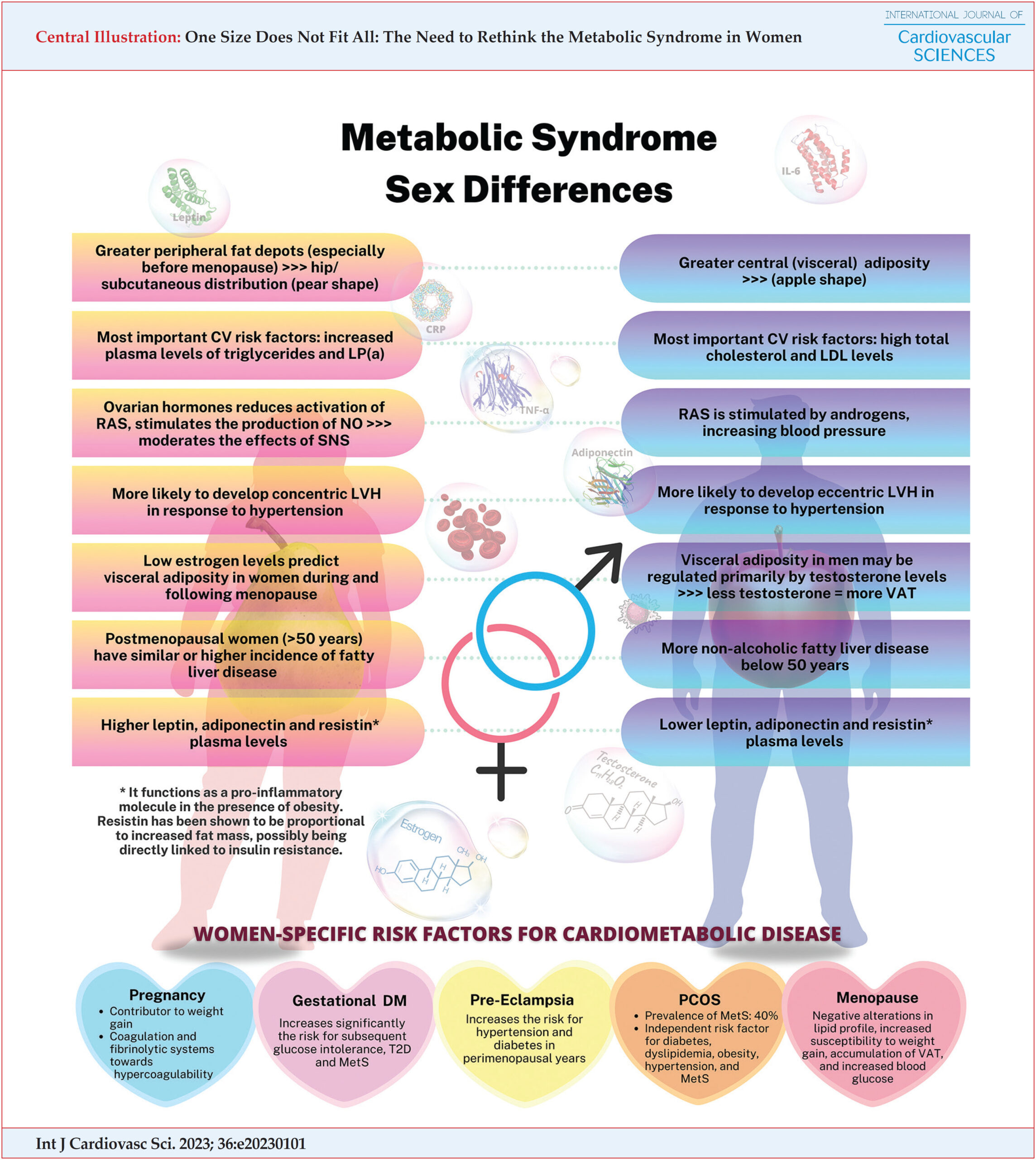 One Size Does Not Fit All: The Need to Rethink the Metabolic Syndrome in Women