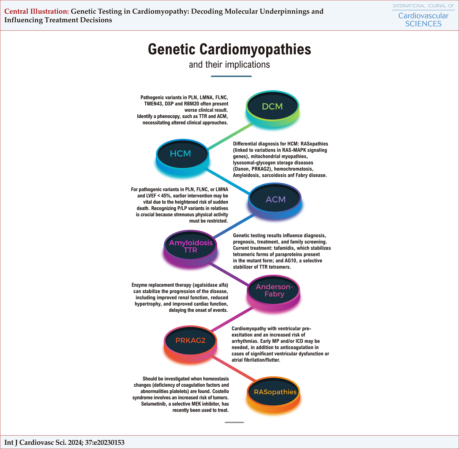Genetic Testing in Cardiomyopathy: Decoding Molecular Underpinnings and Influencing Treatment Decisions