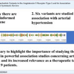 The importance of studying AGTR2 in relation to AH. AGTR2: Angiotensin II receptor type 2