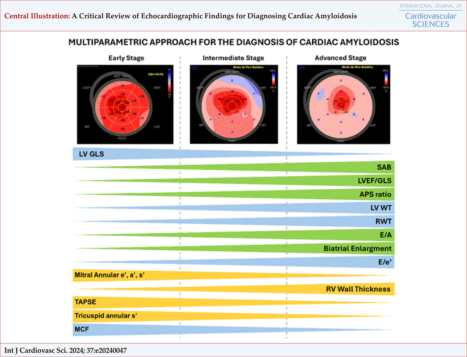 A Critical Review of Echocardiographic Findings for Diagnosing Cardiac Amyloidosis