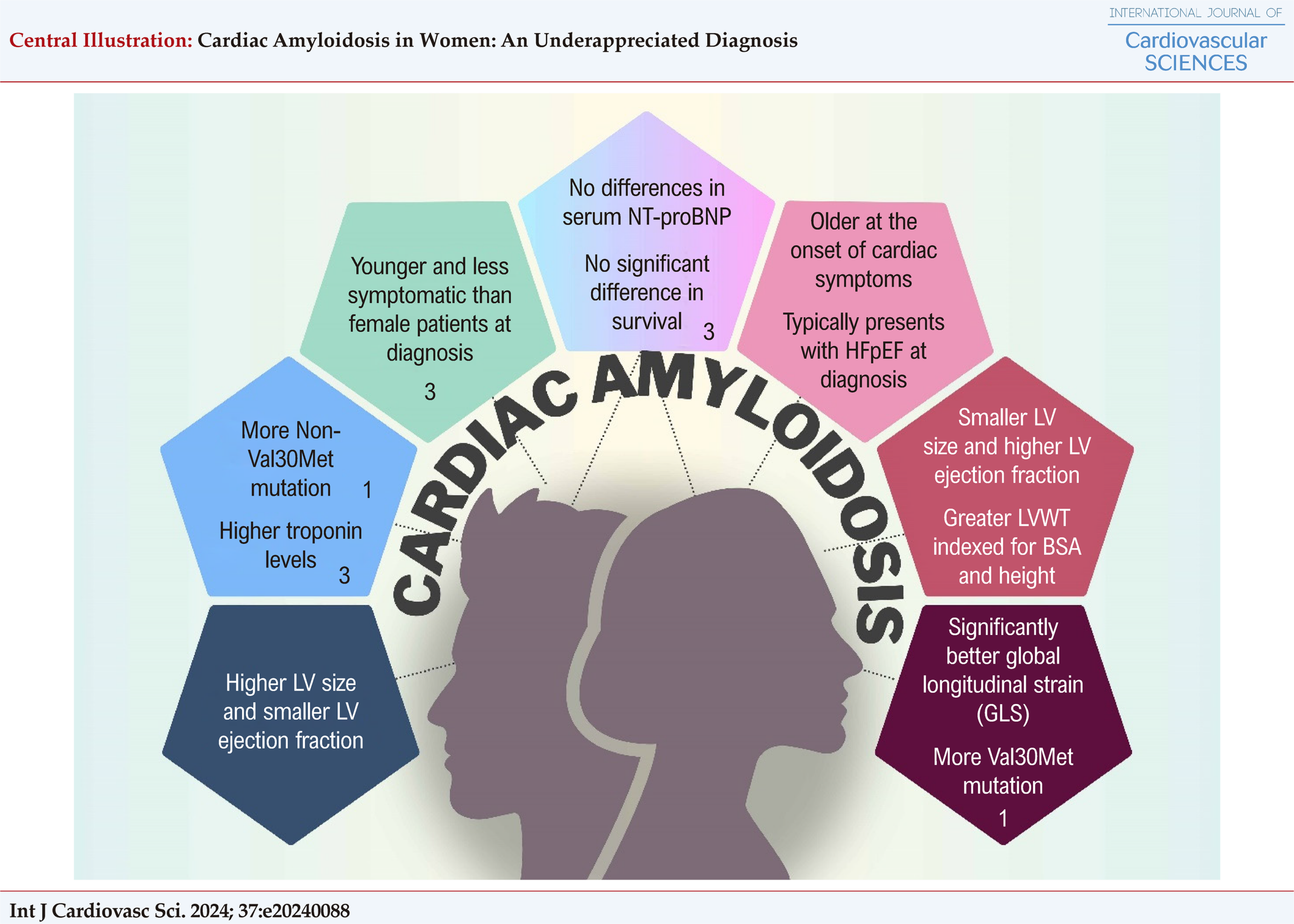 Cardiac Amyloidosis in Women: An Underappreciated Diagnosis