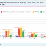Distribution of deaths from atrial flutter and AF and stroke (not specified as hemorrhage or infarction) by geographic region in Brazil from 1996 to 2022 and comparison with the number of physicians per region in 2022; *Data for the year 2022 taken from Scheffer M. et al.11