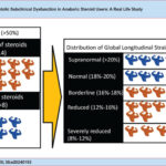 Distribution of the LVEF and global systolic strain of left ventricle in bodybuilders who are users and non-users of steroids LVEF: Left ventricular ejection fraction