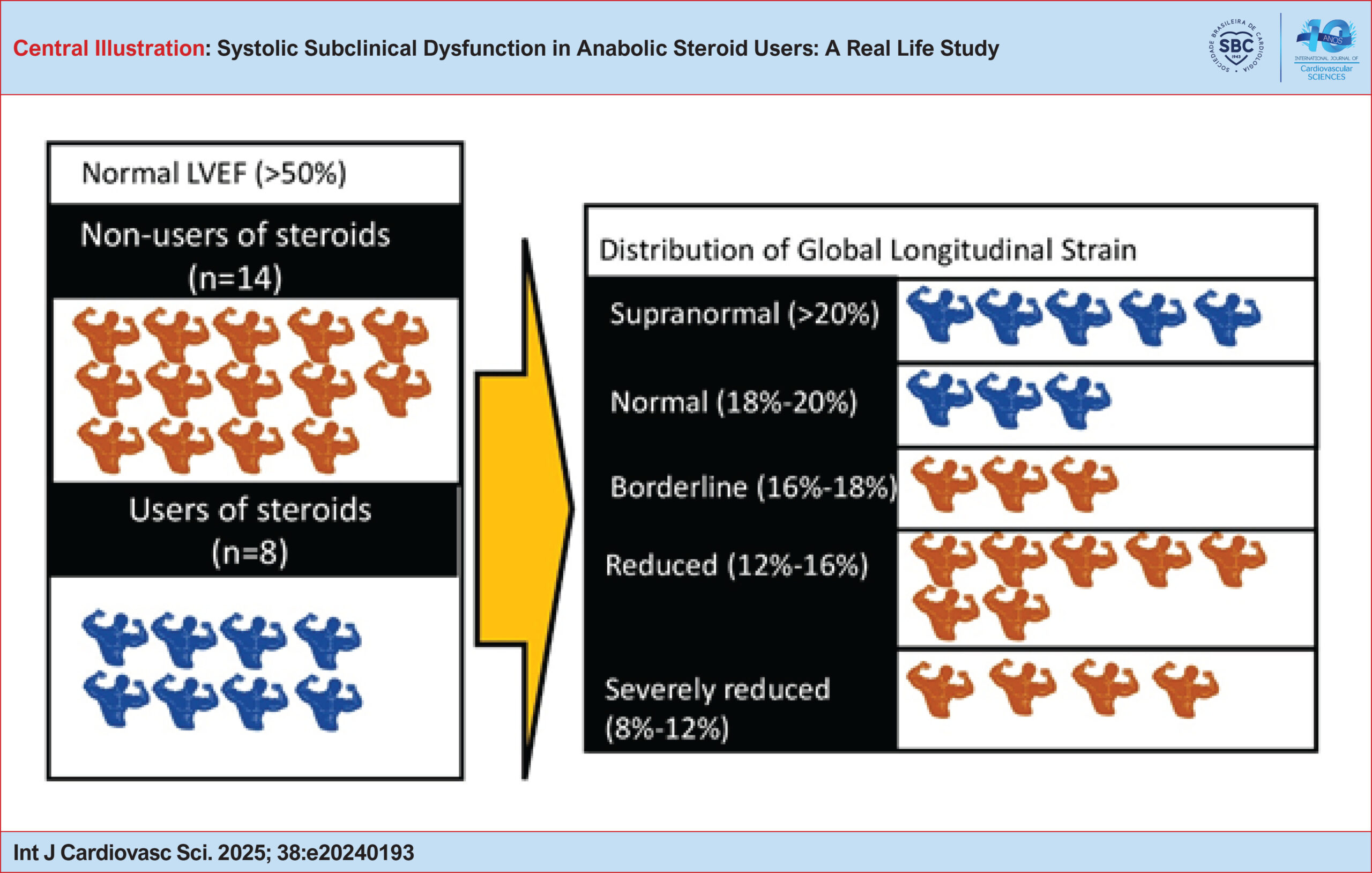 Systolic Subclinical Dysfunction in Anabolic Steroid Users: A Real Life Study