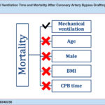 BMI: body mass index; CPB: cardiopulmonary bypass.