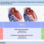 CI: confidence interval; CMI: cardiac myosin inhibitors; HCM: hypertrophic cardiomyopathy; NYHA: New York Heart Association.