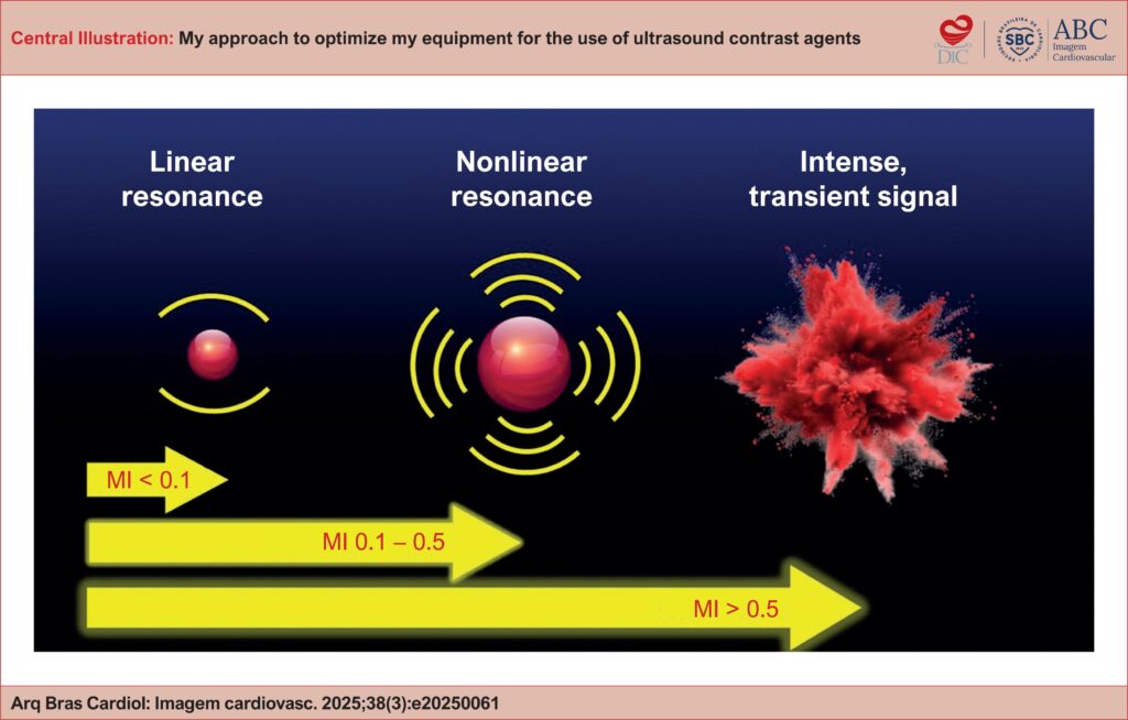 Resonance of microbubbles in response to the energy transmitted by the echocardiography equipment transducer. MI: mechanical index.