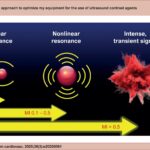 Resonance of microbubbles in response to the energy transmitted by the echocardiography equipment transducer. MI: mechanical index.