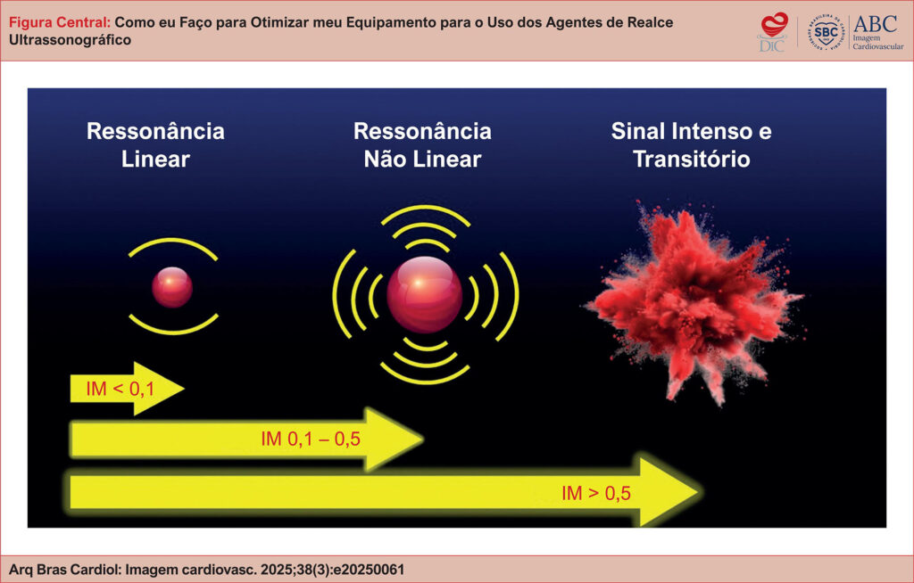 Ressonância das microbolhas em resposta à energia transmitida pelo transdutor do equipamento de ecocardiograma. IM: índice mecânico.
