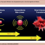 Ressonância das microbolhas em resposta à energia transmitida pelo transdutor do equipamento de ecocardiograma. IM: índice mecânico.